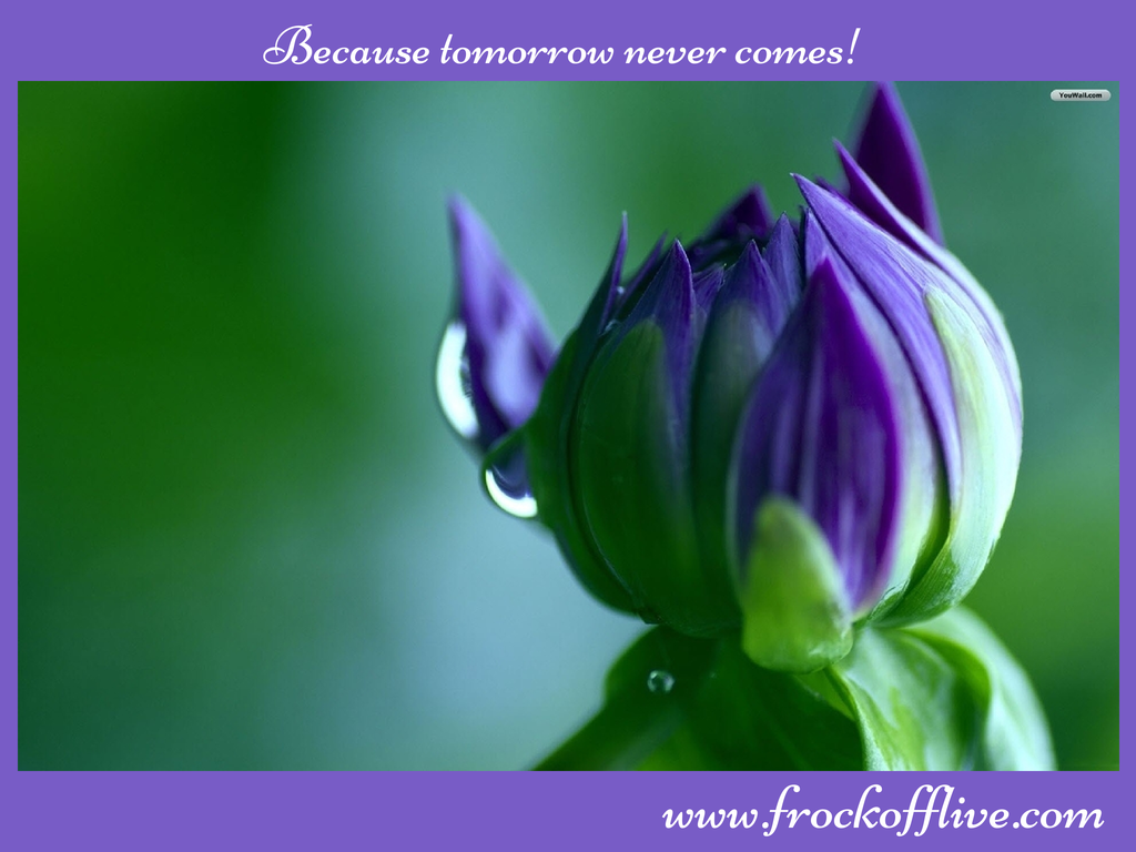 Tomorrow never comes!(1)
