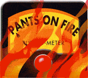 Pants on Fire politifact_photos_tom-pantsonfire-xport4_